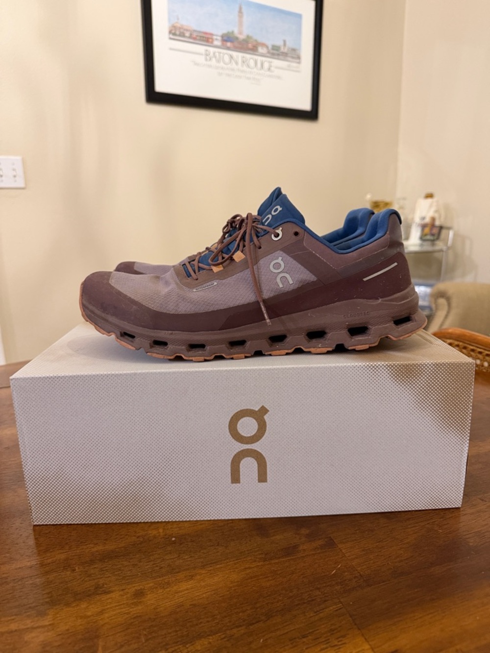 On Running Men's Trail Shoes in Brown and Blue